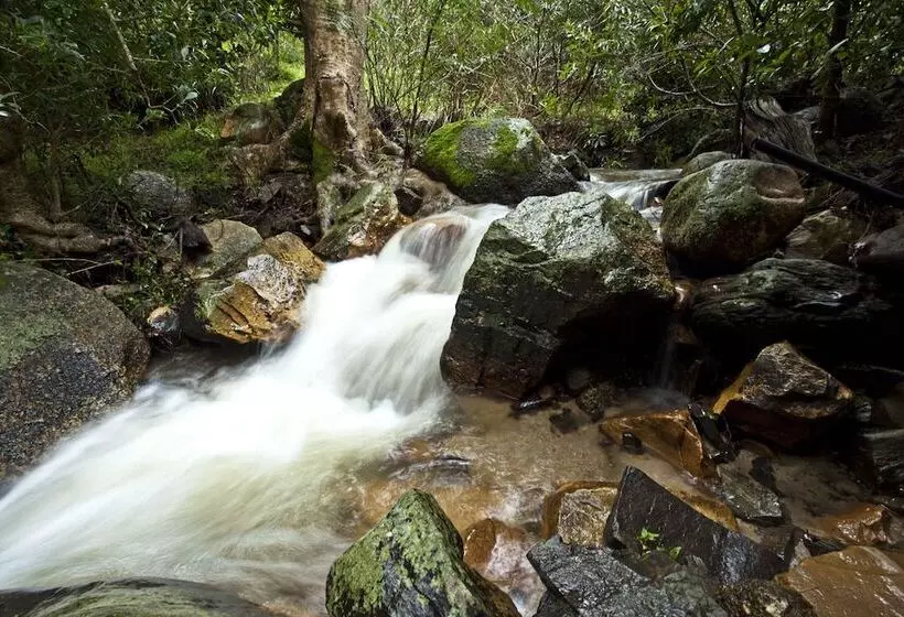 هتل Cascade Country Manor