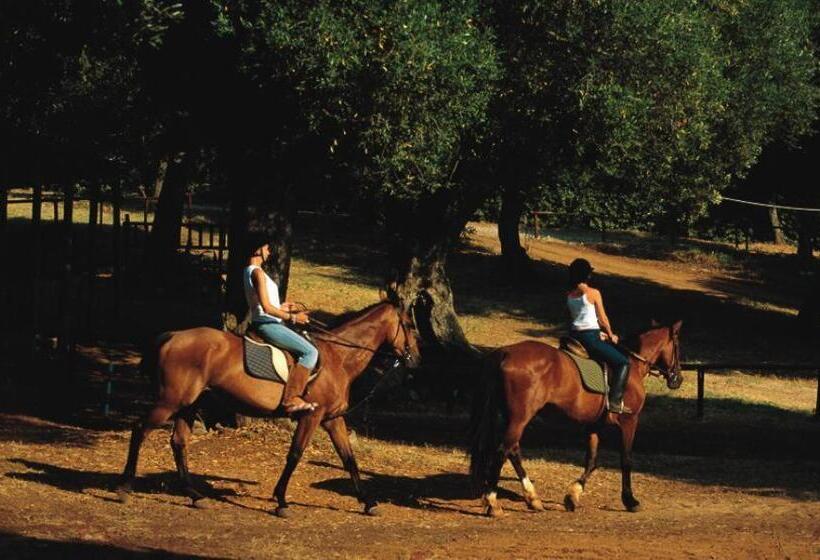 酒店 Happy Village