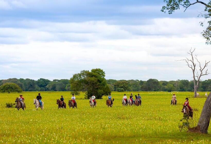 Hotel Pousada Piuval