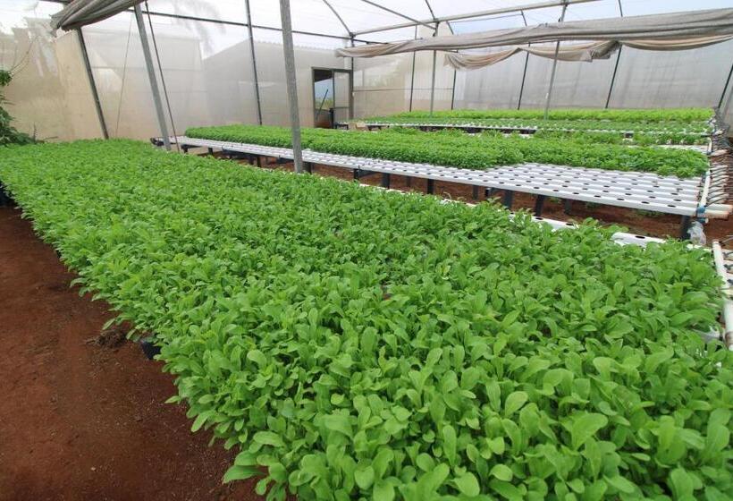 בית מלון כפרי Taiyo Thermas