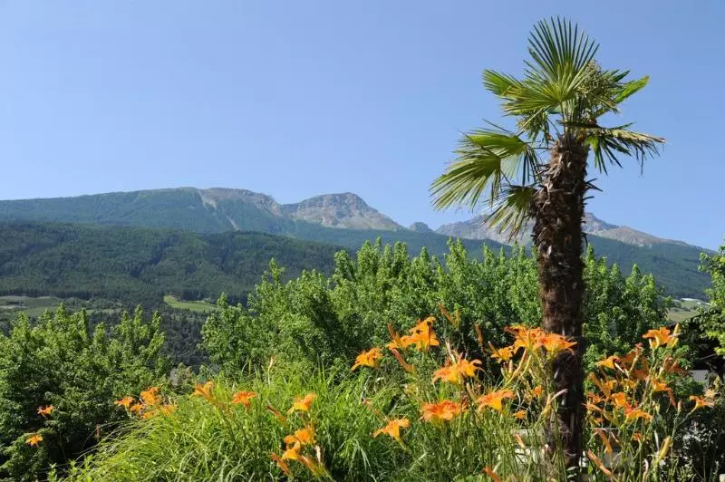 Отель Vier Jahreszeiten