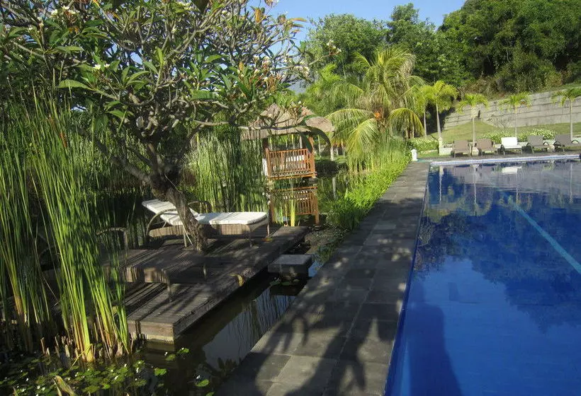 酒店 Blue Hill Dive Resort Tulamben