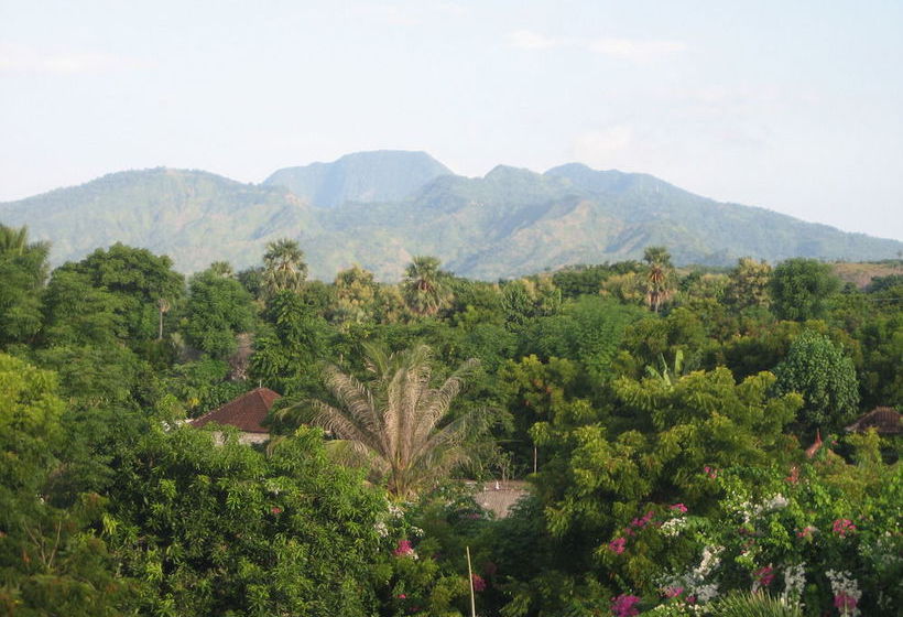 Отель Blue Hill Dive Resort Tulamben