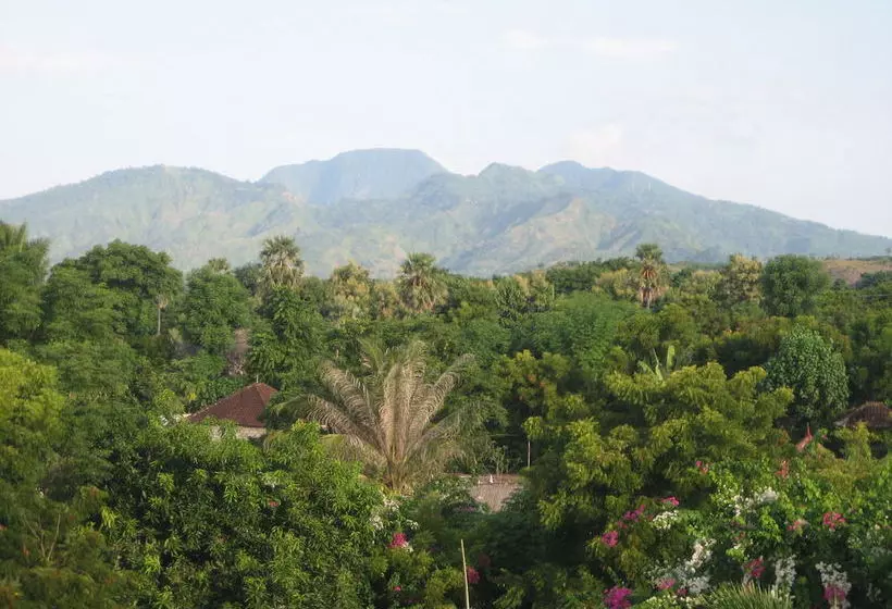 酒店 Blue Hill Dive Resort Tulamben