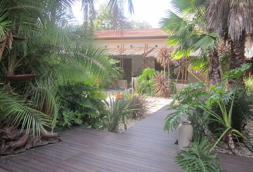 Ibhayi Guest Lodge  Lion Roars S & Lodges