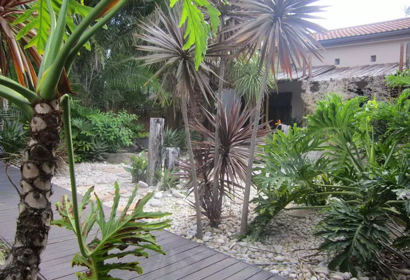 Ibhayi Guest Lodge Lion Roars S & Lodges