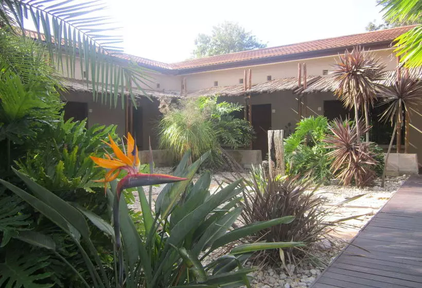 Ibhayi Guest Lodge Lion Roars S & Lodges