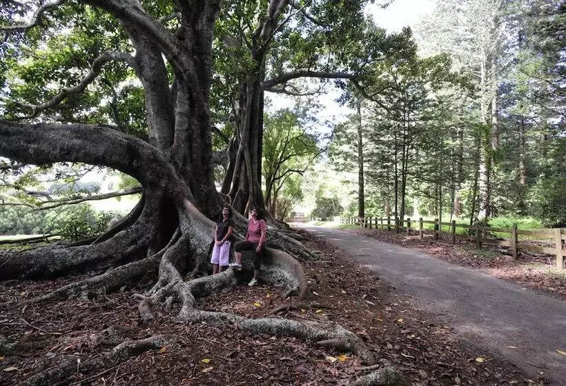 Paradise Hotel & Resort