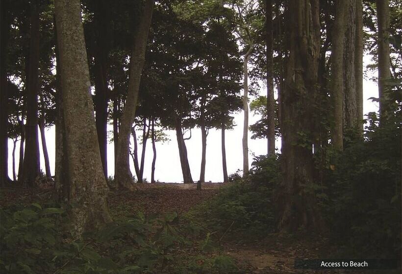 Resort The Barefoot At Havelock