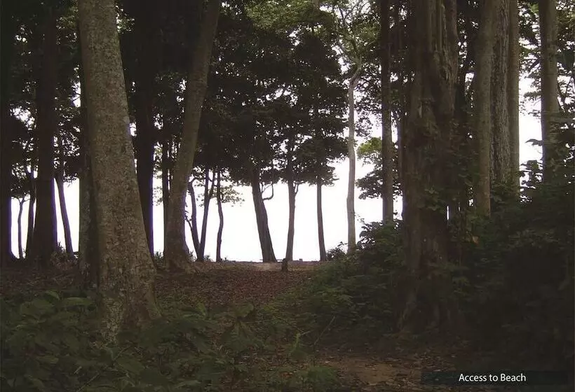 Resort The Barefoot At Havelock