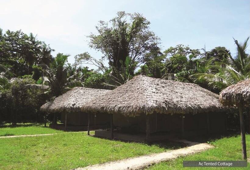 Resort The Barefoot At Havelock