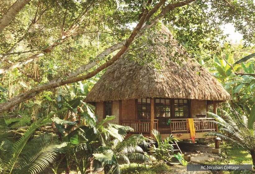 Resort The Barefoot At Havelock