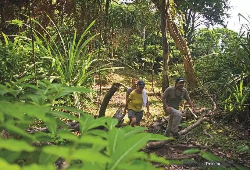 Resort The Barefoot At Havelock
