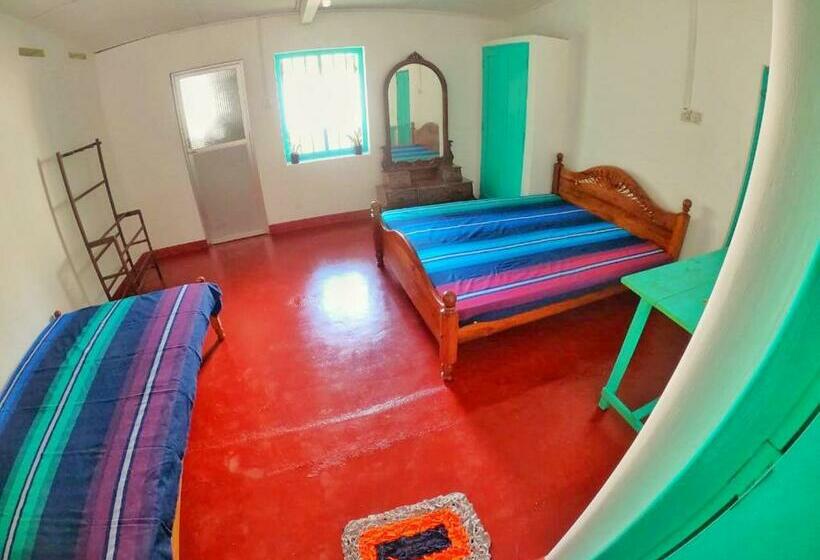 פנסיון Nadeek Guest House