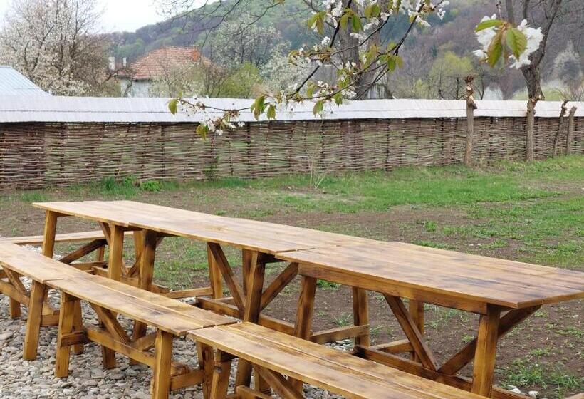 پانسیون Dimineți în Cerdac