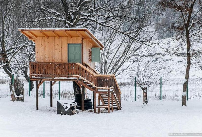 پانسیون Dimineți în Cerdac