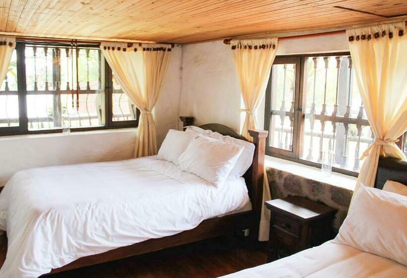 ペンション Hospedaje Villa Eucalyptus