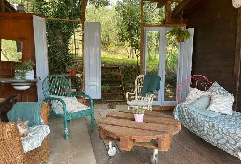 B&b La Casina Di Iris