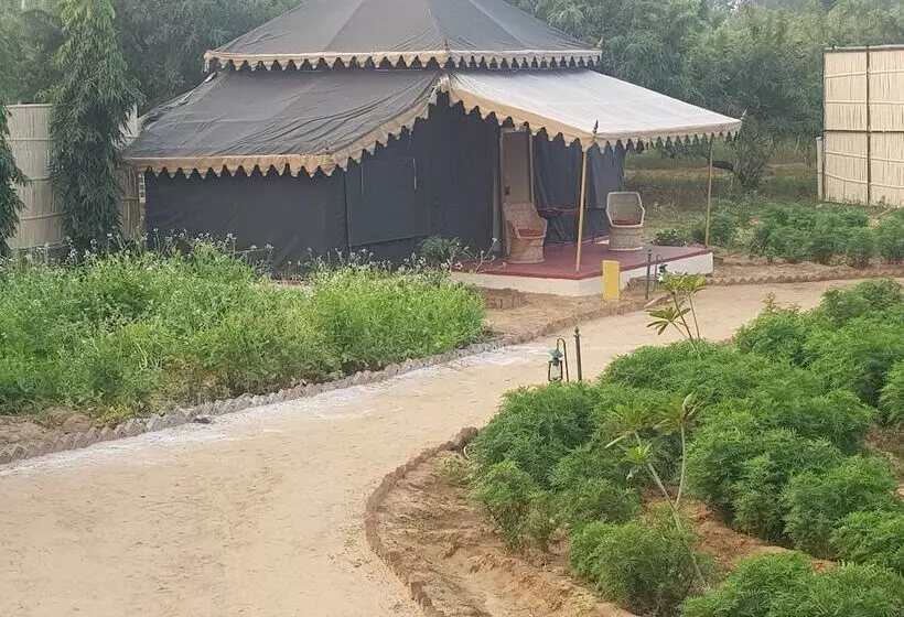 ホテル Orchard Tents & Tranquility  Glamping