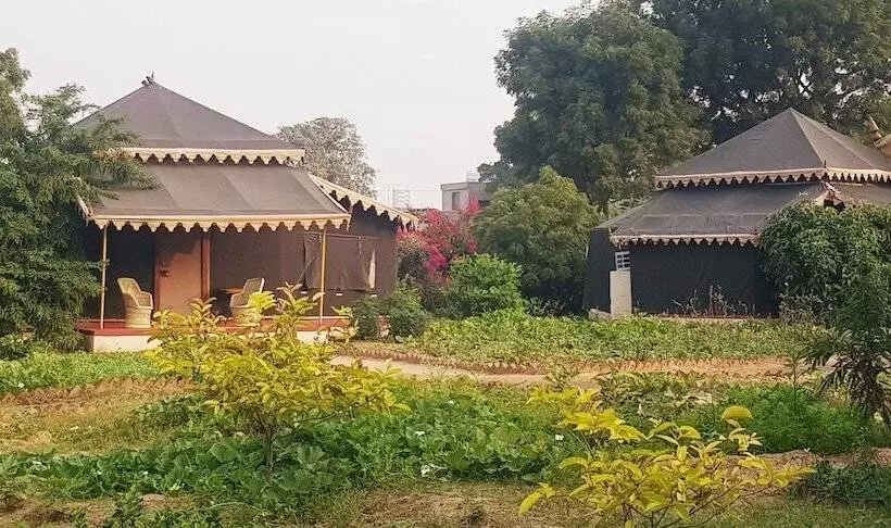 ホテル Orchard Tents & Tranquility  Glamping