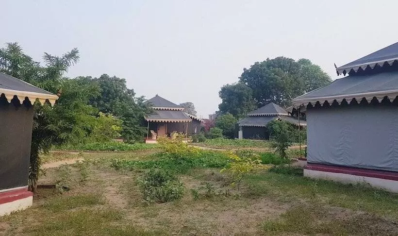 ホテル Orchard Tents & Tranquility  Glamping