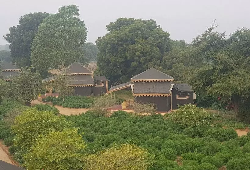 ホテル Orchard Tents & Tranquility  Glamping