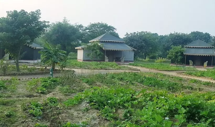 ホテル Orchard Tents & Tranquility  Glamping