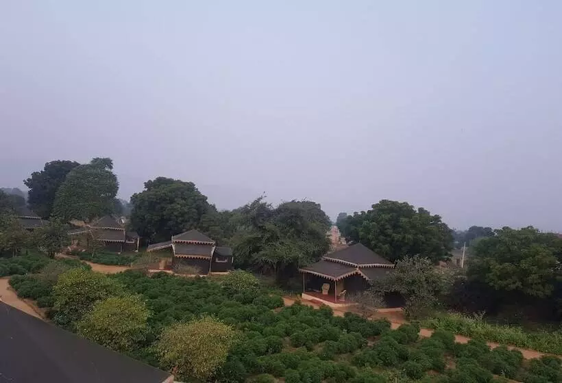ホテル Orchard Tents & Tranquility  Glamping