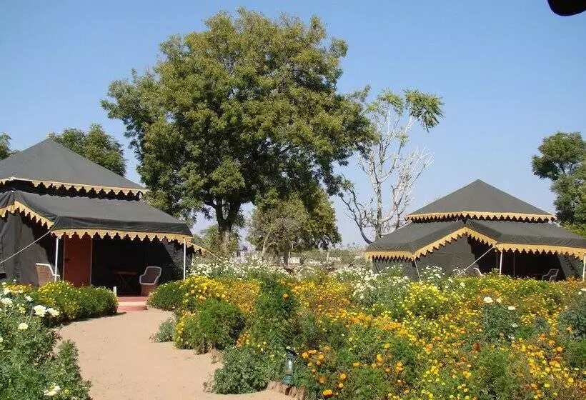 ホテル Orchard Tents & Tranquility  Glamping
