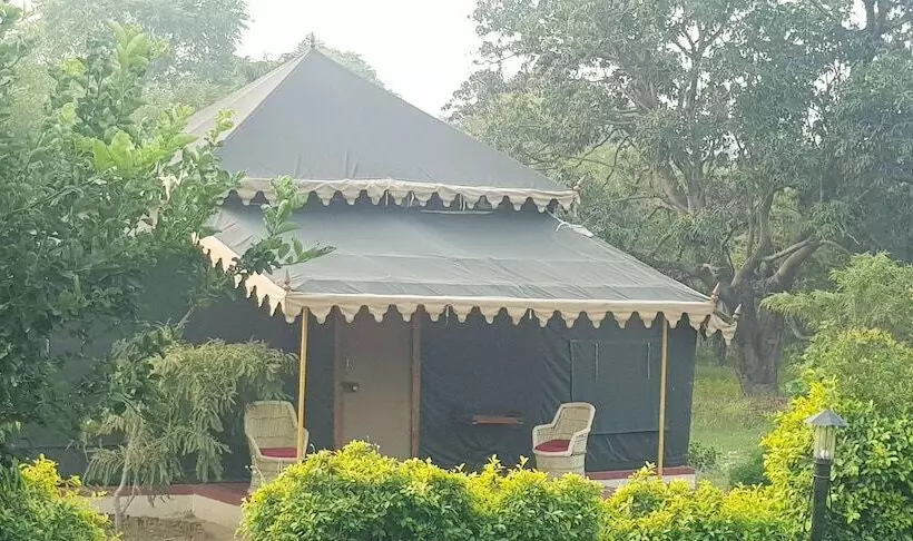 ホテル Orchard Tents & Tranquility  Glamping