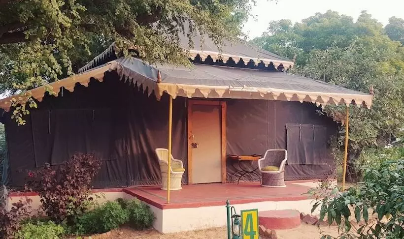 ホテル Orchard Tents & Tranquility  Glamping