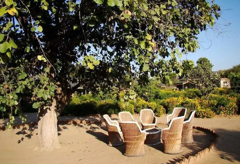 ホテル Orchard Tents & Tranquility  Glamping