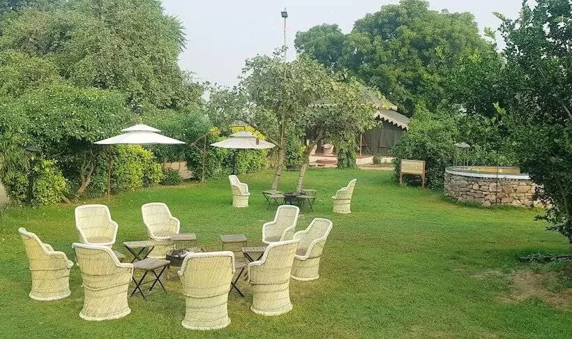 ホテル Orchard Tents & Tranquility  Glamping