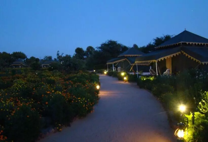 ホテル Orchard Tents & Tranquility  Glamping