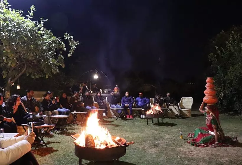 ホテル Orchard Tents & Tranquility  Glamping