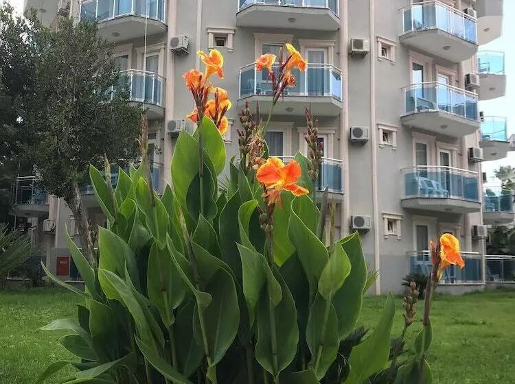 ホテル Rios Latte Beach