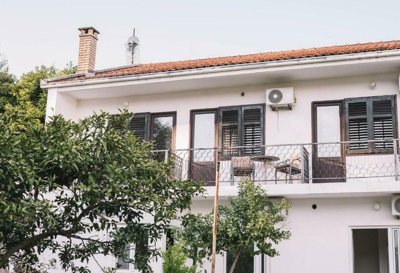 تختخواب و صبحانه Kiters&friends Club