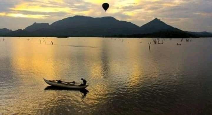 Majatalo Nature S Roots