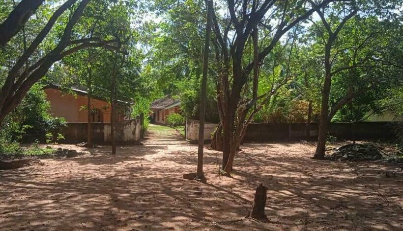 Majatalo Nature S Roots