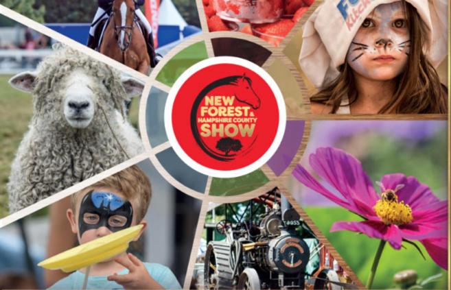 פנסיון The Nest