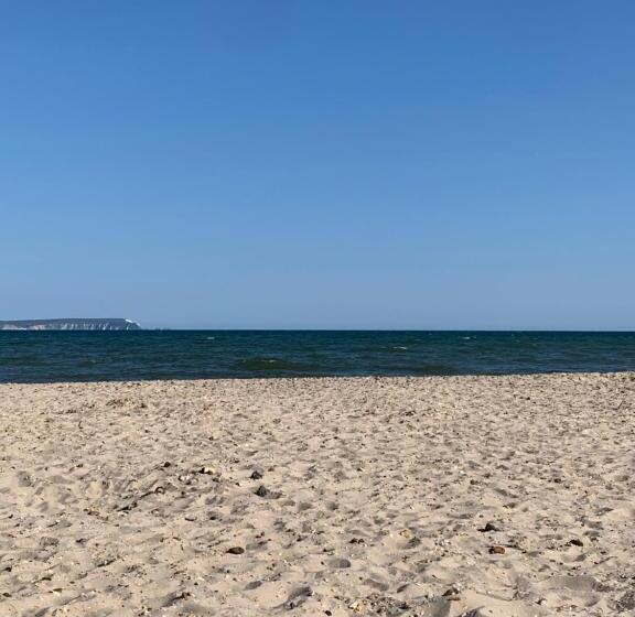 פנסיון The Nest