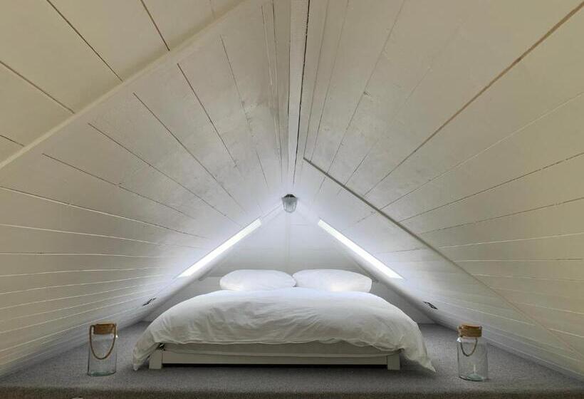 פנסיון The Nest