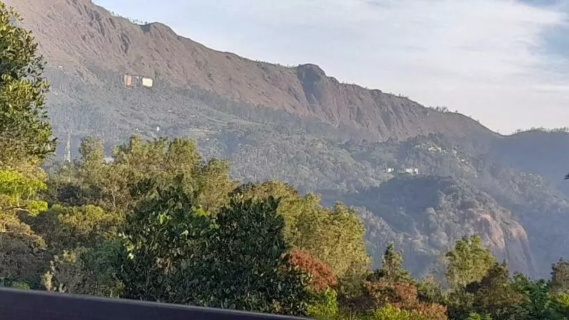 Aamiaismajoitus (B&B) Le Farmhouse Munnar