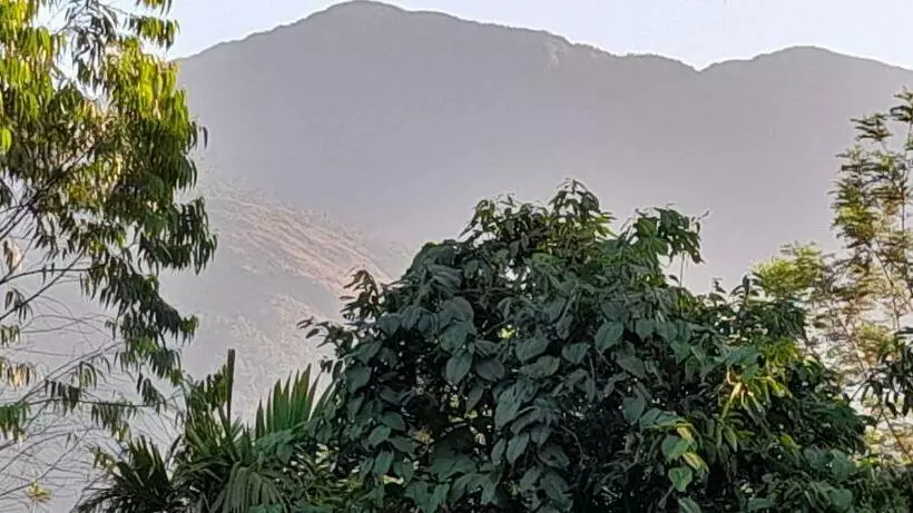 Aamiaismajoitus (B&B) Le Farmhouse Munnar