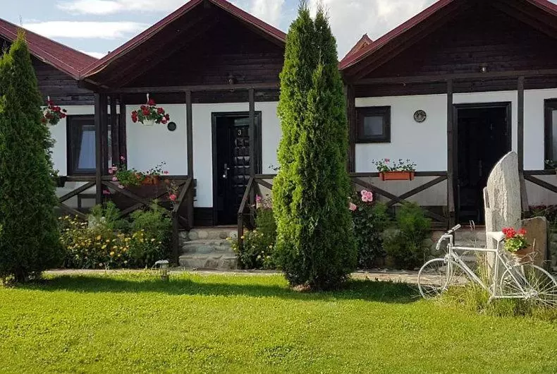ペンション Casa De Vacanța Valea Argesului