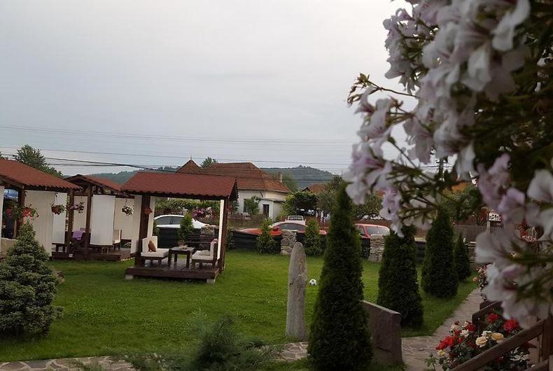 펜션 Casa De Vacanța Valea Argesului