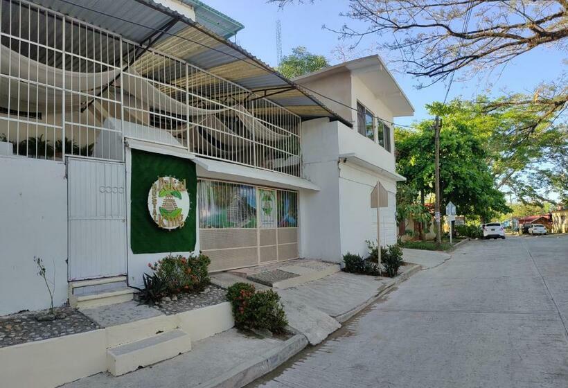 Pansiyon Hostal Pakal King