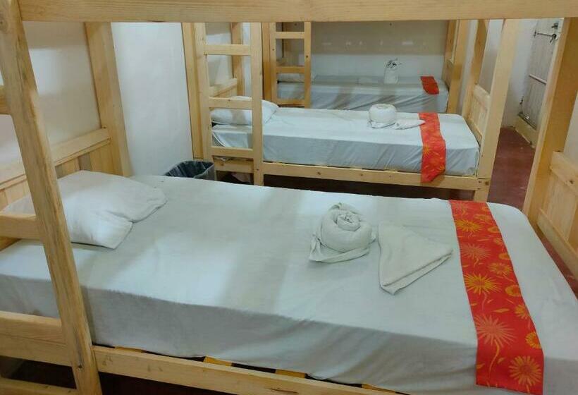 Pansiyon Hostal Pakal King