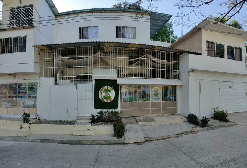 Pansiyon Hostal Pakal King