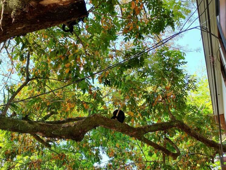 Pansiyon Hostal Pakal King